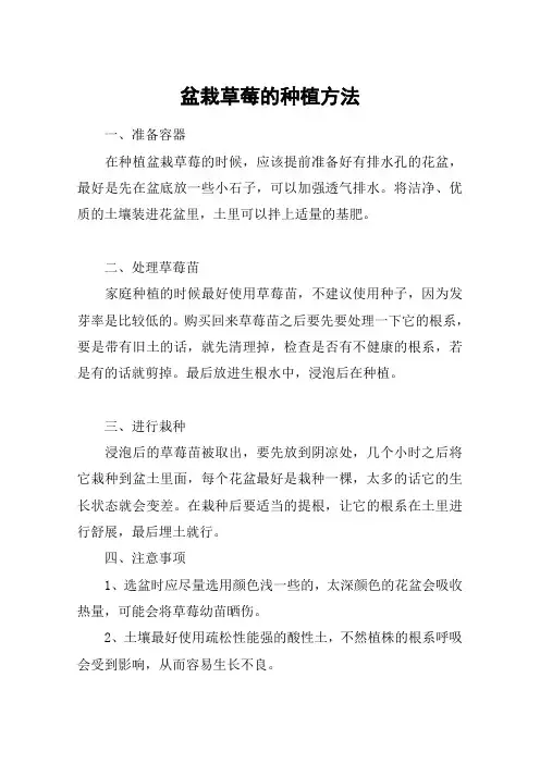 盆栽草莓的种植方法