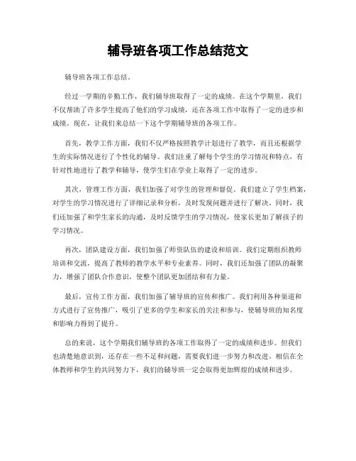 辅导班各项工作总结范文