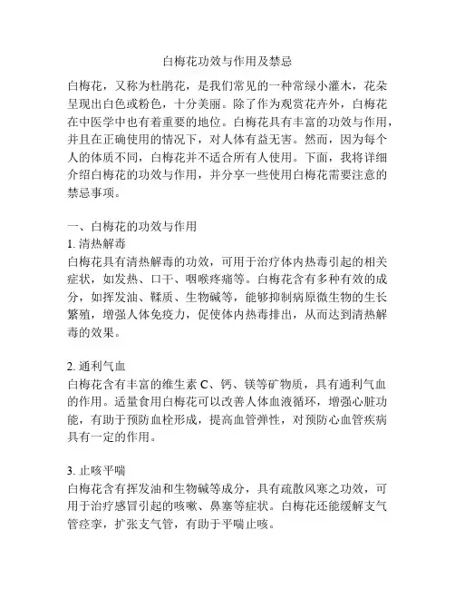 白梅花功效与作用及禁忌