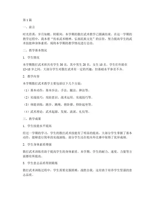 散打武术总结报告范文(3篇)