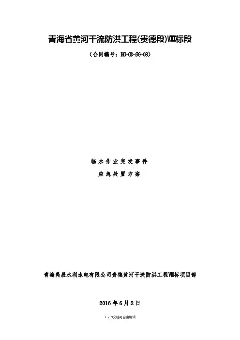 临水作业突发事件应急处置方案最终版