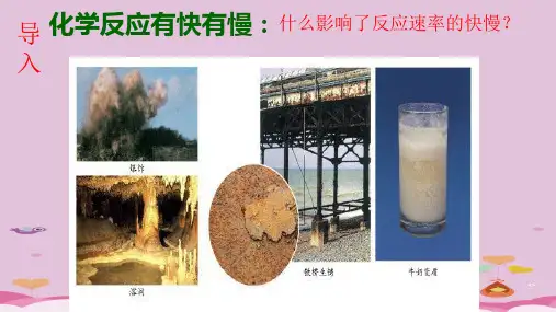 人教版高中化学选修四2.2《影响化学反应速率的因素》宽屏课件优质课件PPT