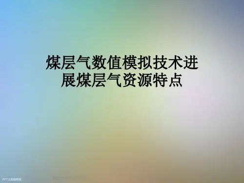 煤层气数值模拟技术进展煤层气资源特点