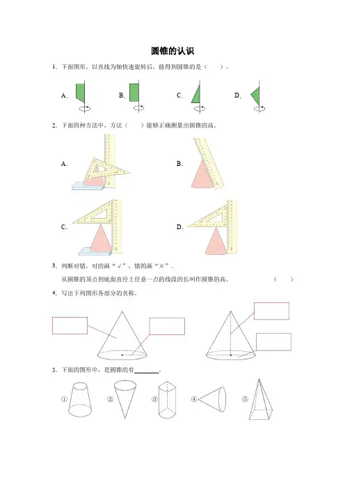 人教版小学数学六年级下册 圆锥的认识习题