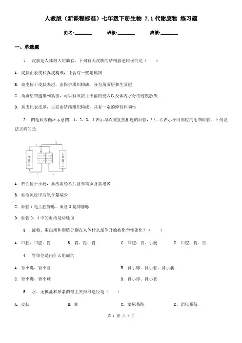 人教版(新课程标准)七年级下册生物 7.1代谢废物 练习题