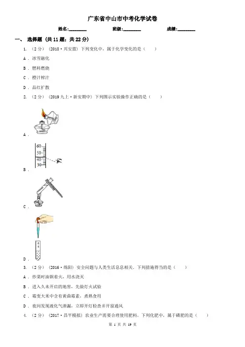 广东省中山市中考化学试卷
