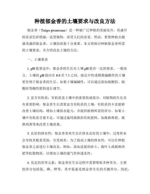种植郁金香的土壤要求与改良方法