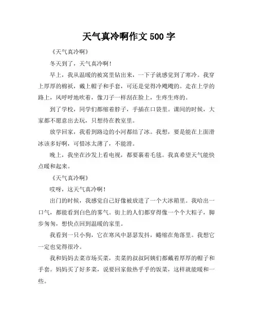 天气真冷啊作文500字