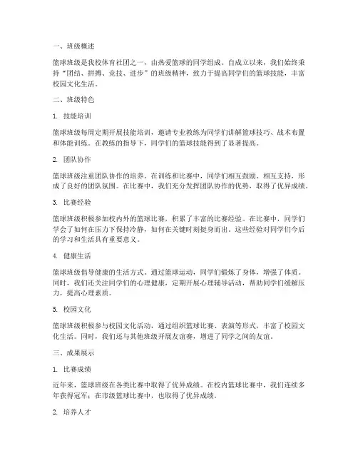 篮球班级特色总结范文
