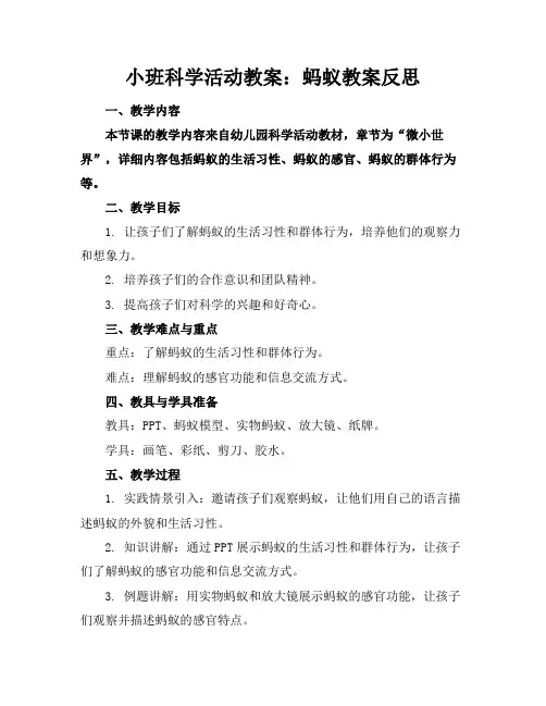 小班科学活动教案：蚂蚁教案反思