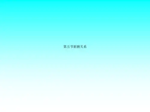 第五节脏腑关系