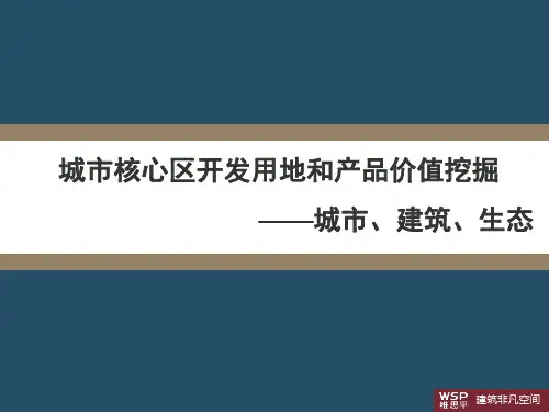 929288-房地产开发-大盘开发模式及策略思考
