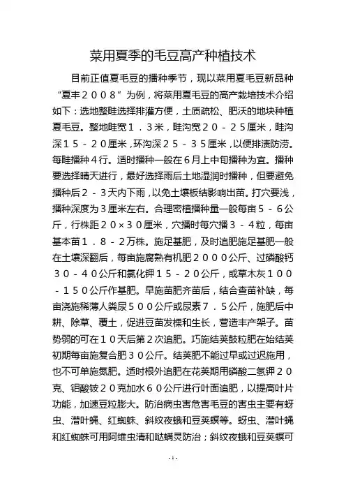 菜用夏季的毛豆高产种植技术
