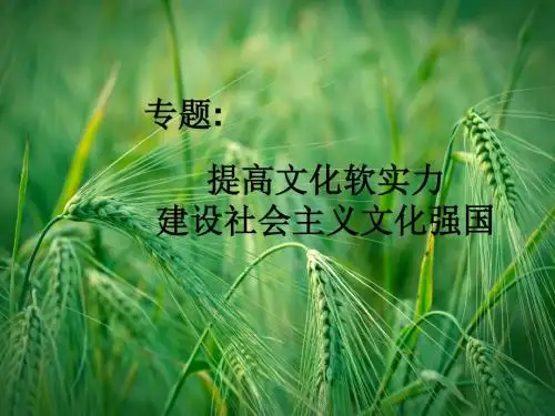 高考政治时政热点聚焦(四)课件