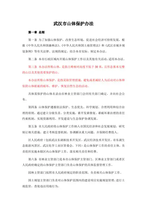 武汉市山体保护办法