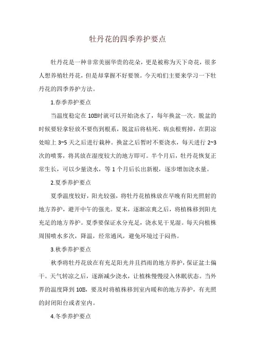 牡丹花的四季养护要点