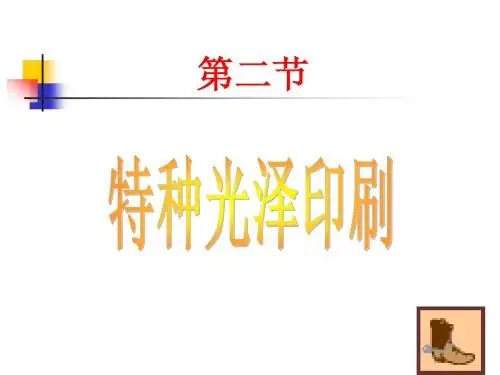2特种光泽印刷
