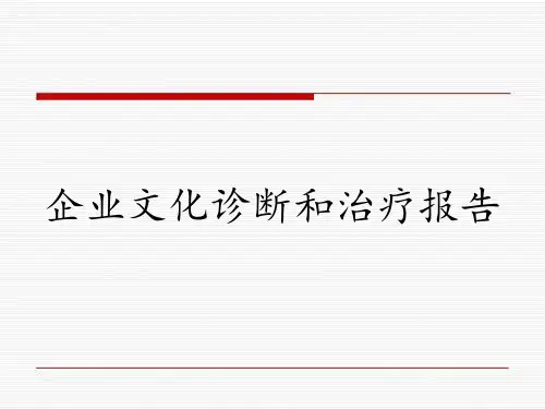 企业文化诊断和治疗报告