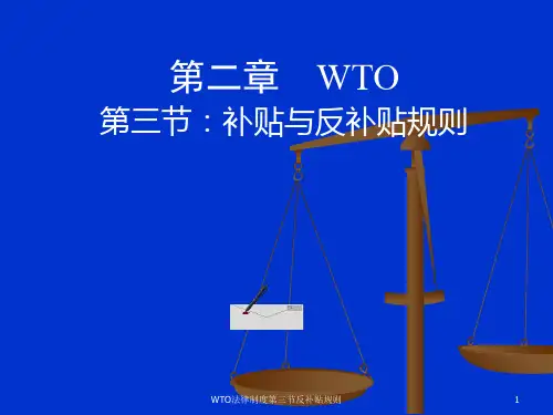 WTO法律制度第三节反补贴规则课件