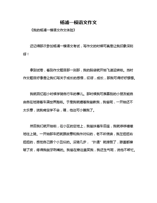 杨浦一模语文作文