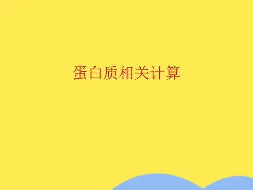 蛋白质相关计算(共10张精选PPT)