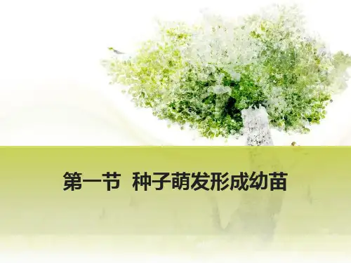 北师大版七年级生物上册 种子萌发形成幼苗 教学课件