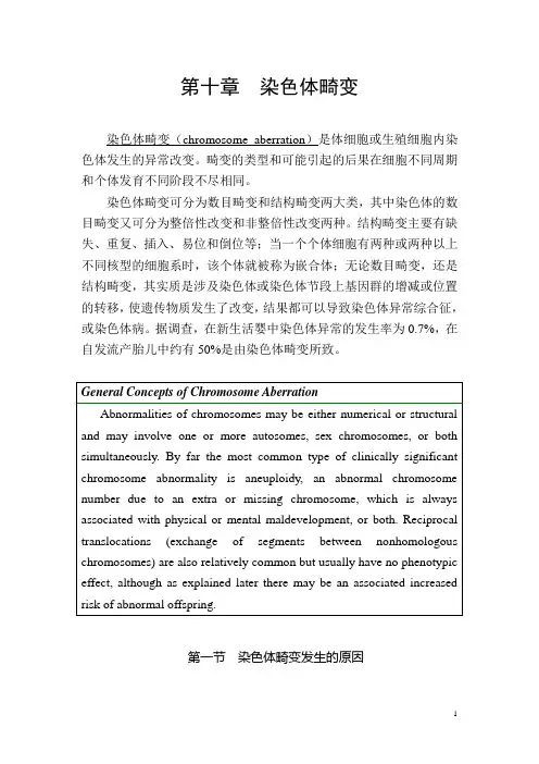 第9章 人类染色体 (吴白燕,字数2