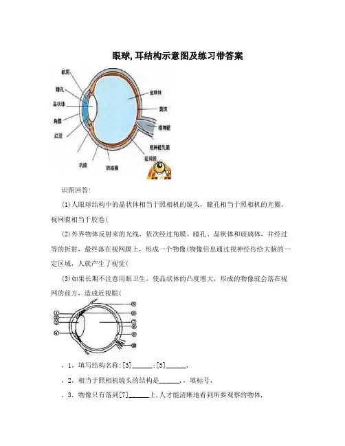 眼球,耳结构示意图及练习带答案