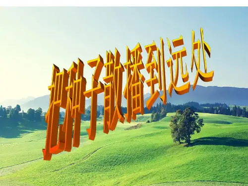 四年级下 把种子散播到远处教科版实用PPT (共18张PPT)