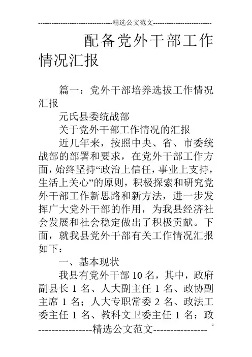 配备党外干部工作情况汇报