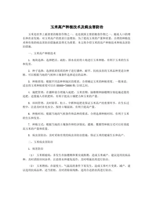 玉米高产种植技术及病虫害防治