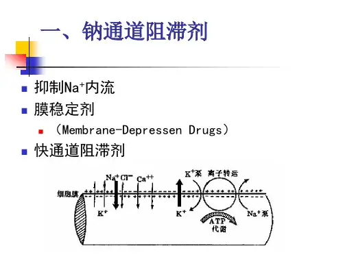 钠钾通道阻滞剂