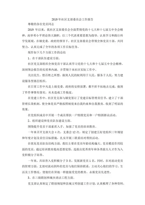 最新-2019年社区支部委员会工作报告 精品