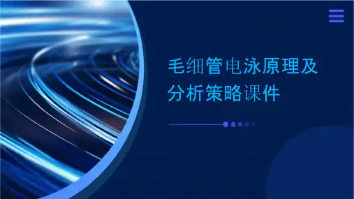 毛细管电泳原理及分析策略课件