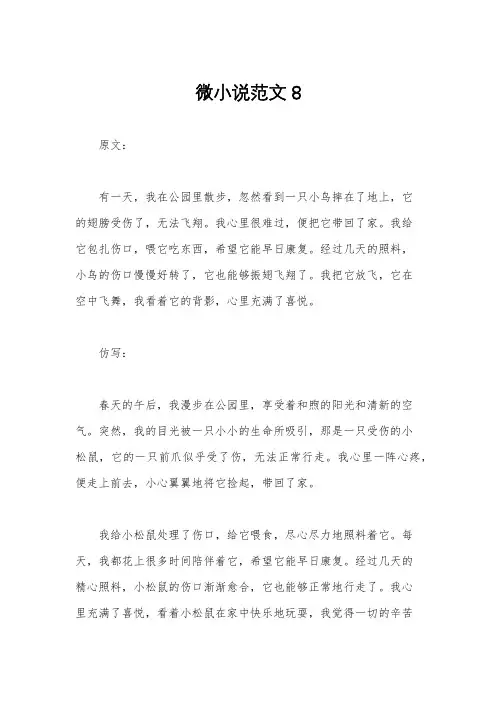 微小说范文8