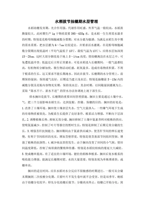 寒地水稻栽培技术：水稻拔节抽穗期水层管理