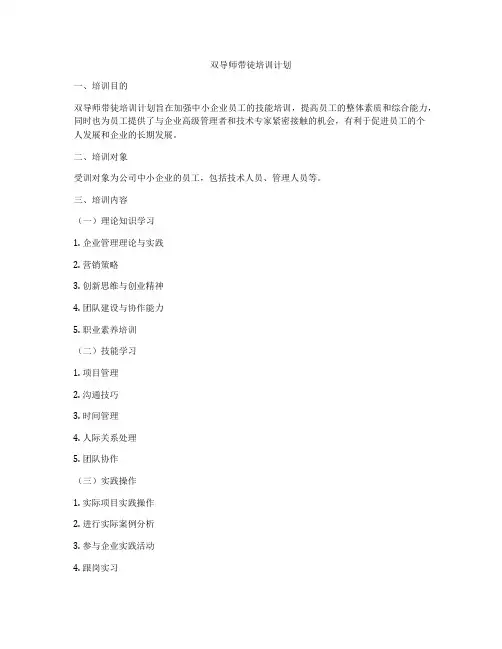 双导师带徒培训计划