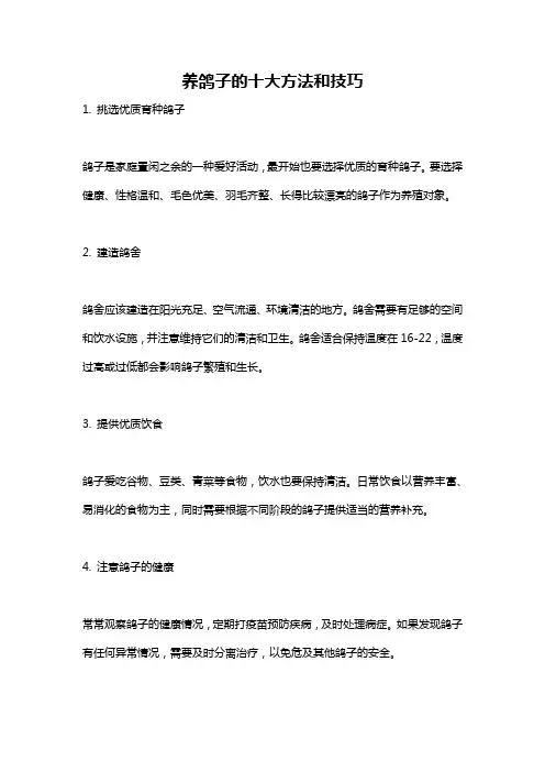 养鸽子的十大方法和技巧