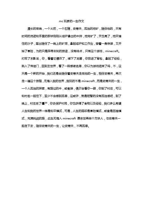 mc玩家的一生作文