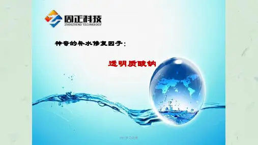 面膜新版课件