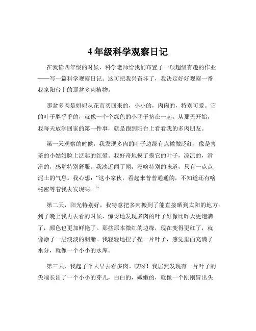 4年级科学观察日记