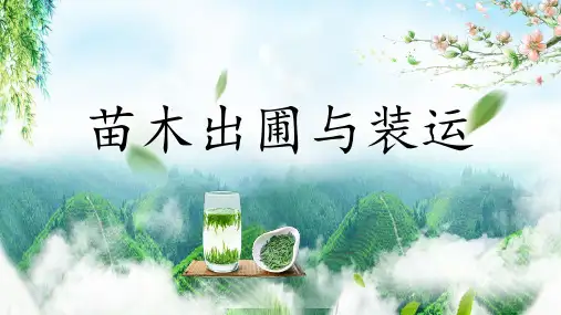 茶树繁育与新茶园建设—茶树无性繁殖(茶树栽培管理课件)
