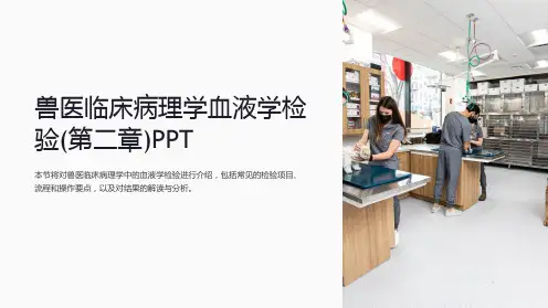兽医临床病理学血液学检验(第二章)PPT