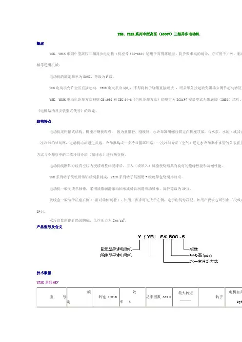 兰州电机YSK、YRSK系列中型高压(6000V)三相异步电动机