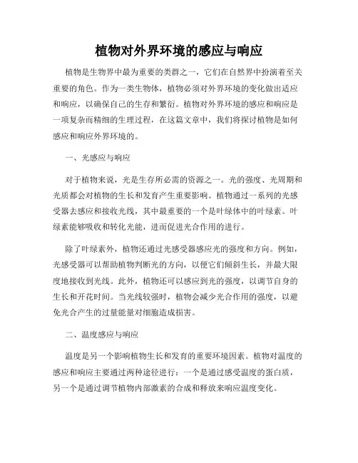 植物对外界环境的感应与响应