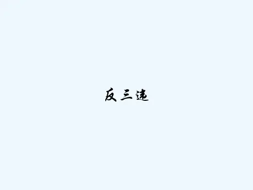 反三违 PPT