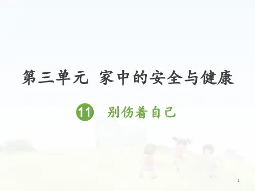 一年级品德与生活精品课件  别伤着自己