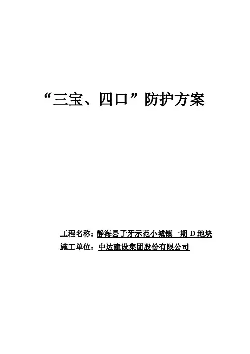 “三宝、四口”防护方案