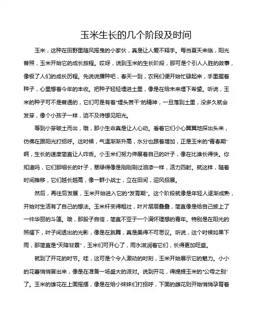 玉米生长的几个阶段及时间