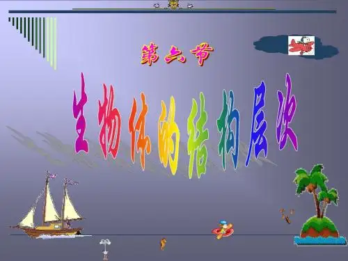 2.3生物体的结构层次